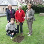 Flanders Poppy Seeds planted at Holy Trinity Church, Rathmell